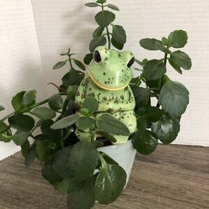 70s Ceramic Frog Plant Water Spike